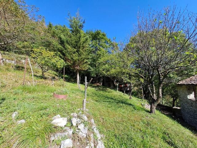 Terreno in vendita a Arsiè, Veneto