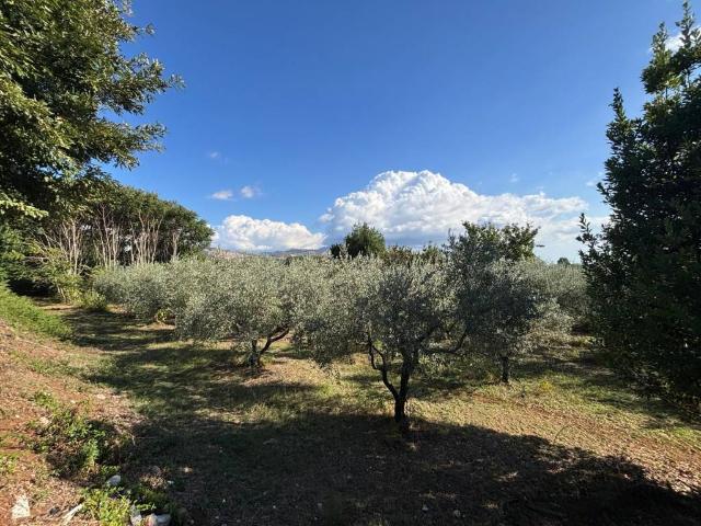 Terreno in vendita a Macere, Artena