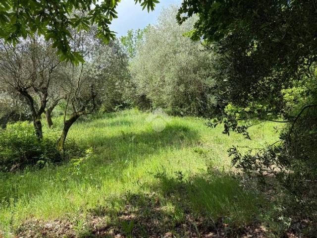 Terreno in vendita a Casal di Mondo, Artena