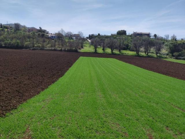 Terreno in vendita a Roma Capitale, Lazio