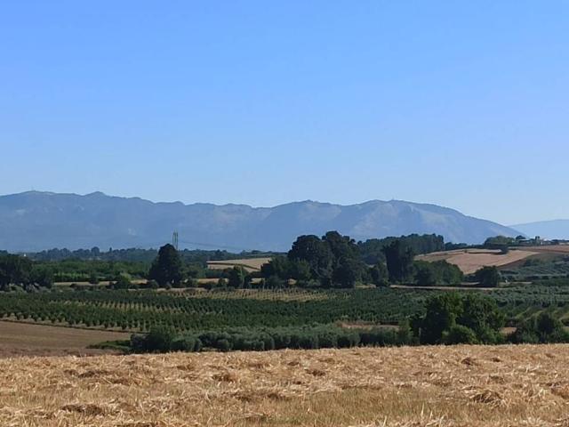 Terreno in vendita a Roma Capitale, Lazio