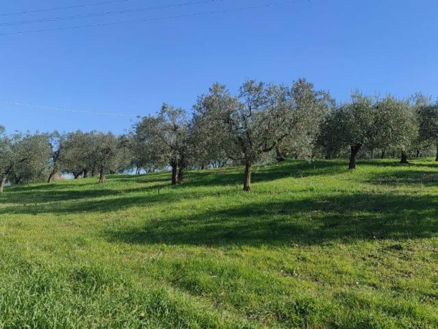 Terreno in vendita a Roma Capitale, Lazio