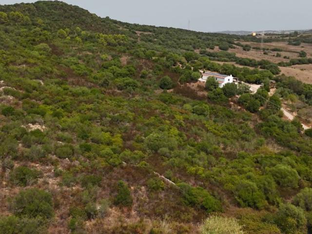 Terreno in vendita a Alzachèna/Arzachena, Arzachena