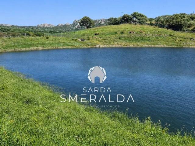 Terreno in vendita a Alzachèna/Arzachena, Sardigna/Sardegna