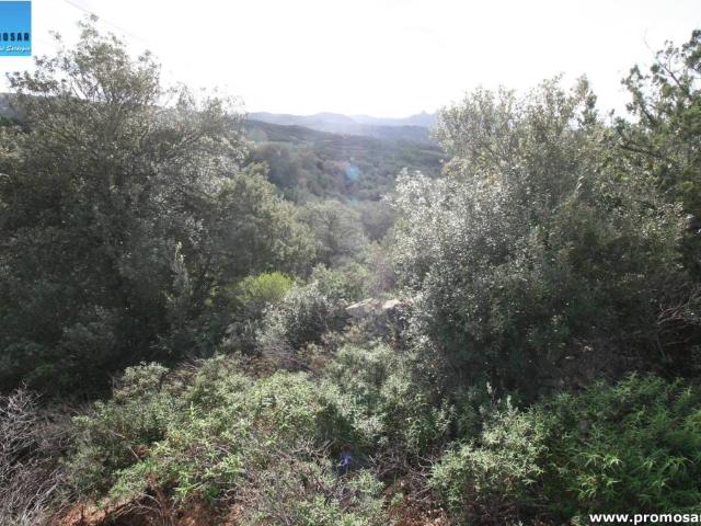 Terreno in vendita a Alzachèna/Arzachena, Sardigna/Sardegna