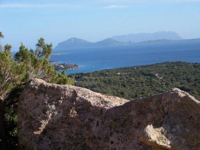 Terreno in vendita a Alzachèna/Arzachena, Sardigna/Sardegna
