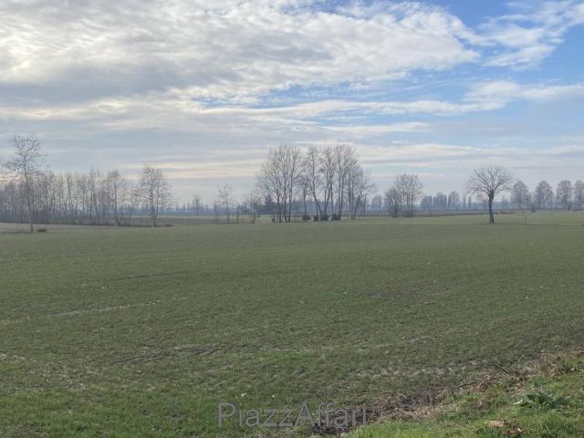 Terreno in vendita a Arzergrande, Veneto
