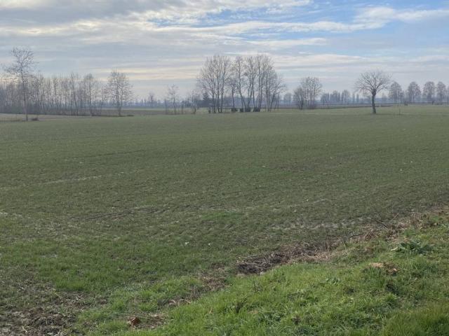 Terreno in vendita a Arzergrande, Veneto