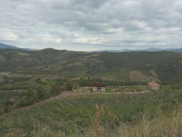 Terreno in vendita a Ascea, Campania