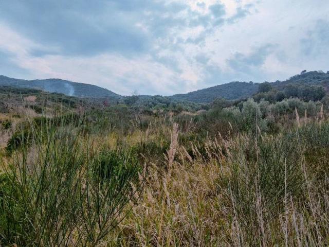 Terreno in vendita a Ascea, Campania