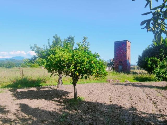 Terreno in vendita a Ascea, Campania