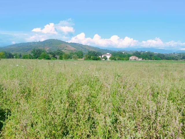 Terreno in vendita a Ascea, Campania