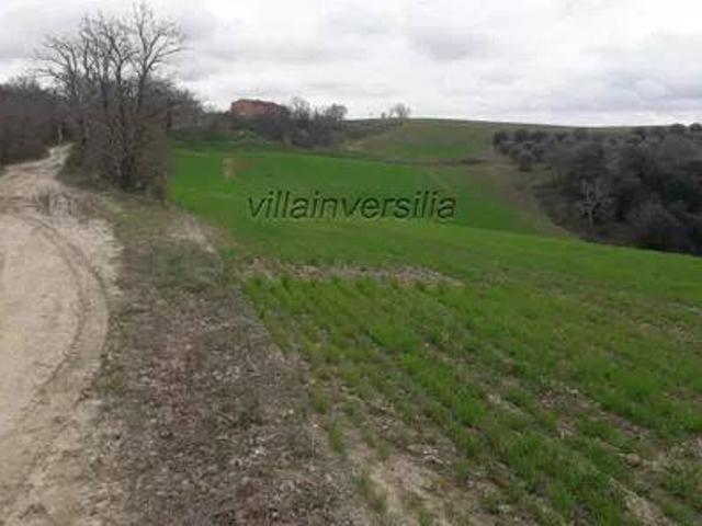 Terreno in vendita a Chiusure, Asciano