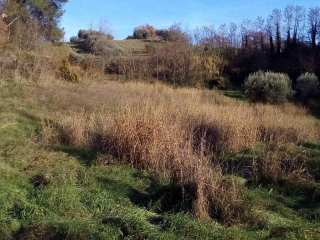 Terreno in vendita a Borgo Chiaro, Marche