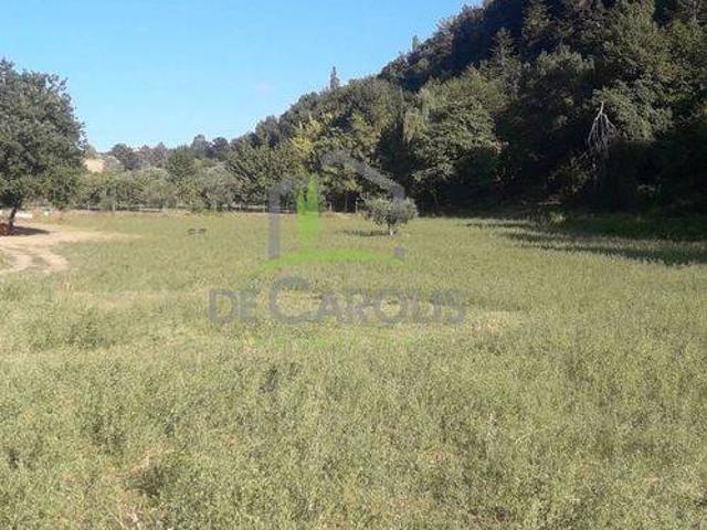 Terreno in vendita a San Giacomo, Marche