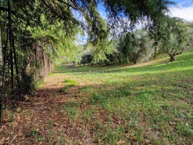 Terreno in vendita a Monticelli, Marche