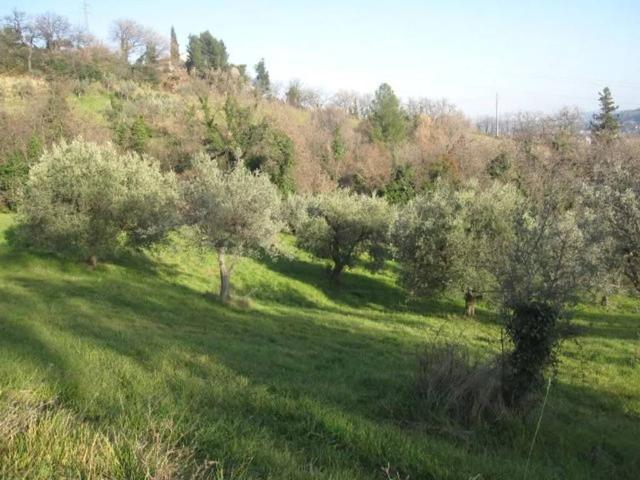Terreno in vendita a Porta Romana, Marche