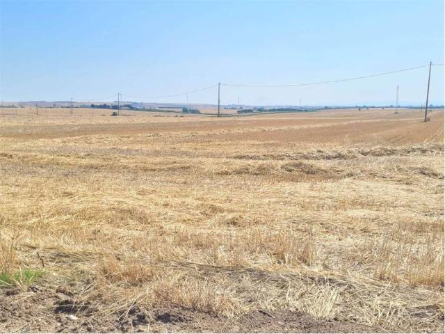 Terreno in vendita a Puglia, Foggia