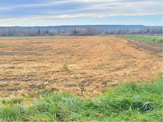 Terreno in vendita a Puglia, Foggia