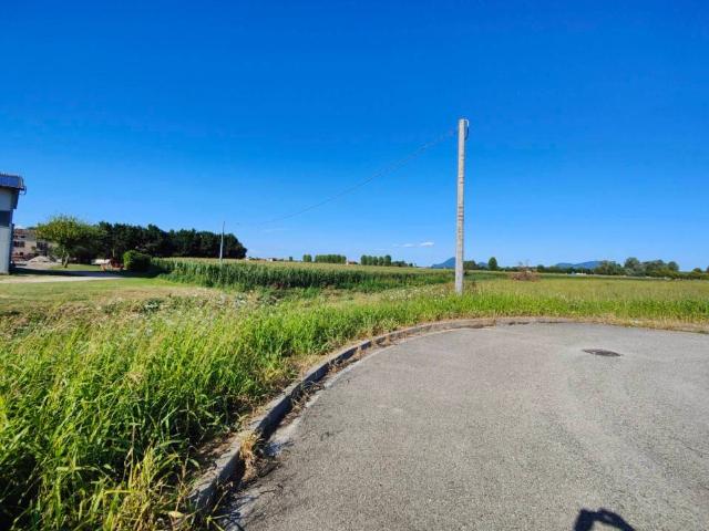 Terreno in vendita a Asigliano Veneto, Veneto