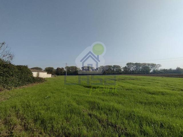 Terreno in vendita a Asola, Lombardia