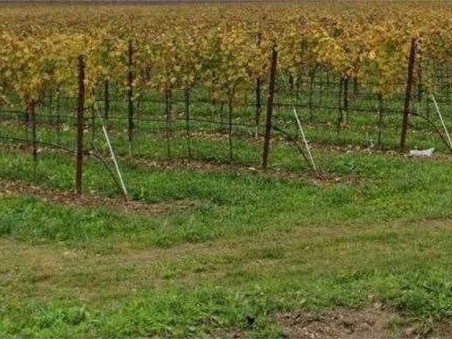 Terreno in vendita a Fonte, Asolo