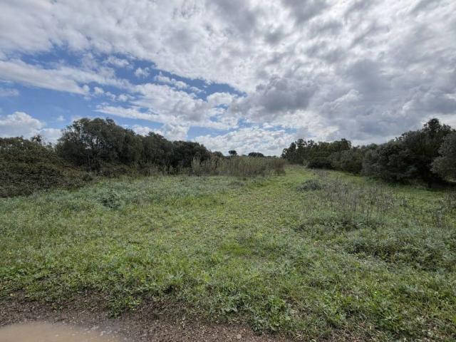 Terreno in vendita a Assemini, Sardigna/Sardegna