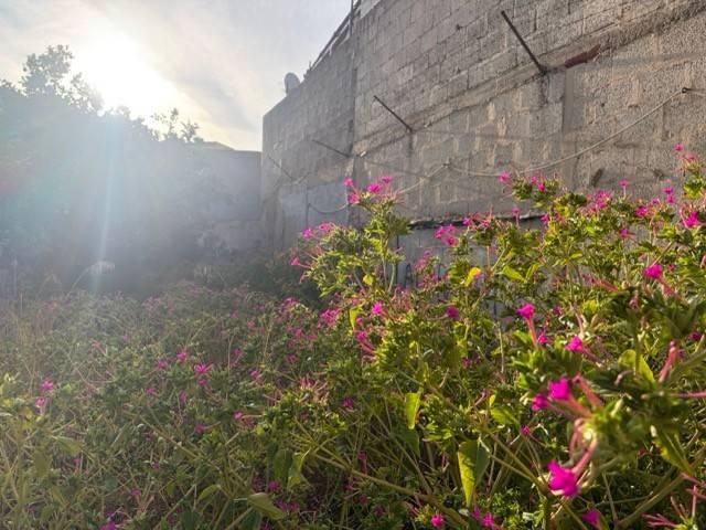 Terreno in vendita a Assèmini/Assemini, Casteddu/Cagliari