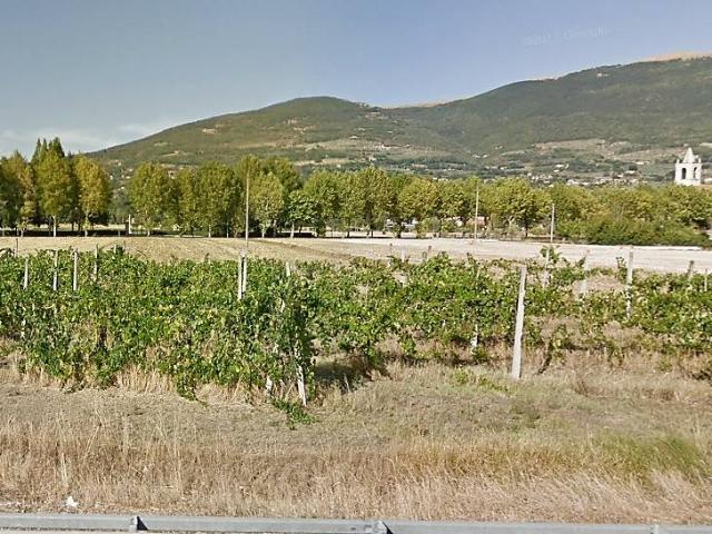 Terreno in vendita a Assisi, Umbria