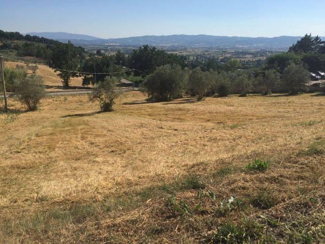Terreno in vendita a Assisi, Umbria