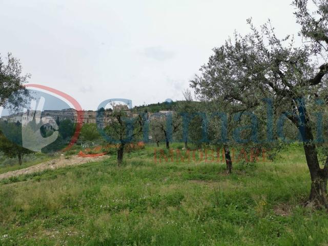 Terreno in vendita a Assisi, Umbria