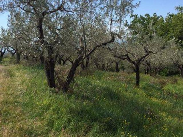 Terreno in vendita a San Vitale, Assisi