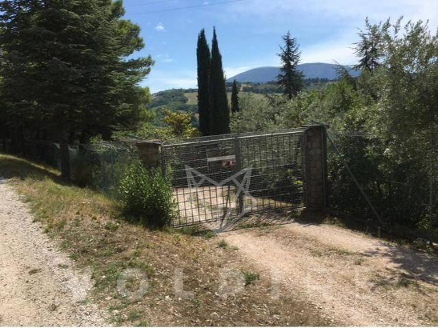Terreno in vendita a Palazzo, Assisi