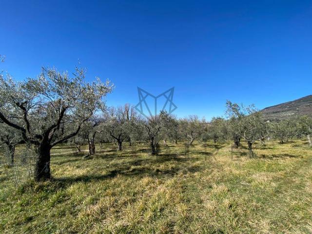 Terreno in vendita a Assisi, Umbria