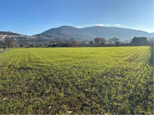 Terreno in vendita a Assisi, Umbria