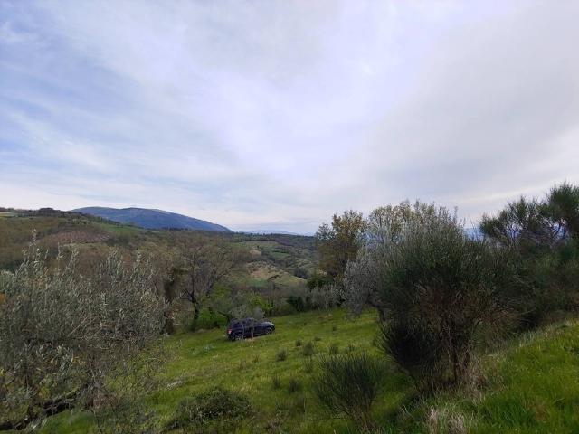 Terreno in vendita a Assisi, Umbria