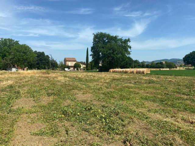 Terreno in vendita a Santa Maria degli Angeli, Assisi