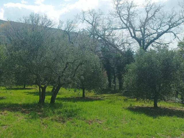 Terreno in vendita a Assisi, Umbria