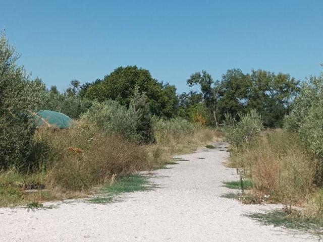 Terreno in vendita a Col d'Erba III, Assisi