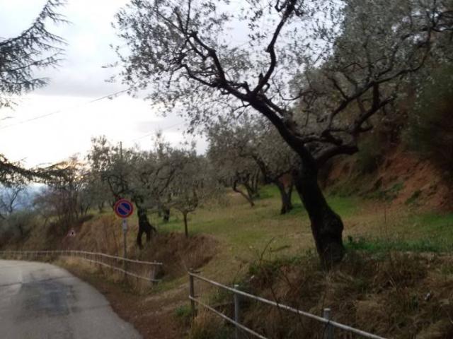 Terreno in vendita a Assisi, Umbria
