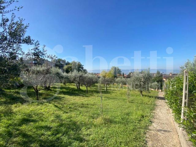 Terreno in vendita a Assisi, Umbria