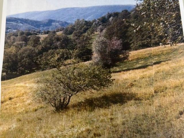 Terreno in vendita a Assisi, Umbria