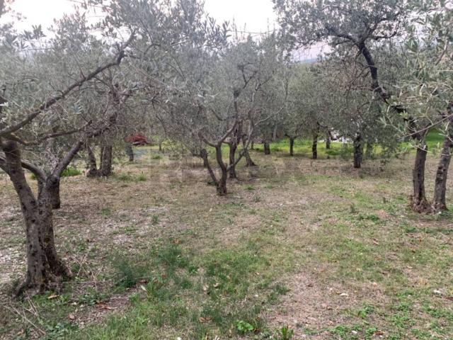 Terreno in vendita a Assisi, Umbria