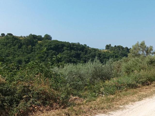 Terreno in vendita a Assisi, Umbria