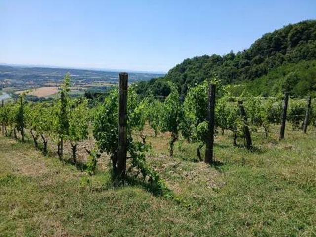 Terreno in vendita a Rione San Secondo, Piemonte