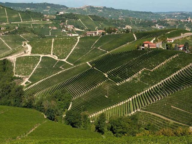 Terreno in vendita a Piemonte, Asti