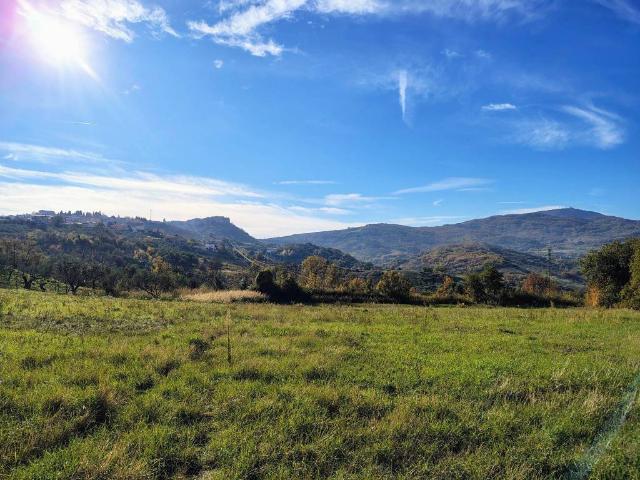 Terreno in vendita a Colle Palumbo, Atessa