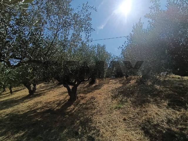 Terreno in vendita a Colle Palumbo, Atessa