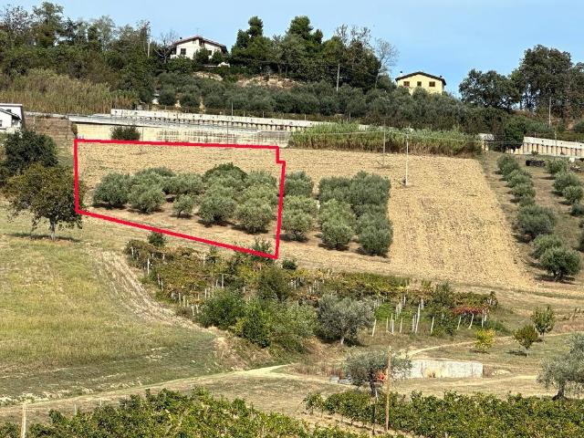 Terreno in vendita a Atri, Abruzzo