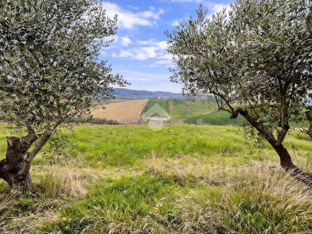 Terreno in vendita a Atri, Abruzzo